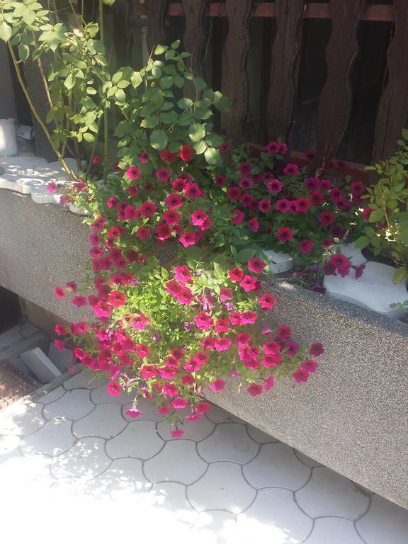 Apartment A&D Pančevo Eksteriør billede