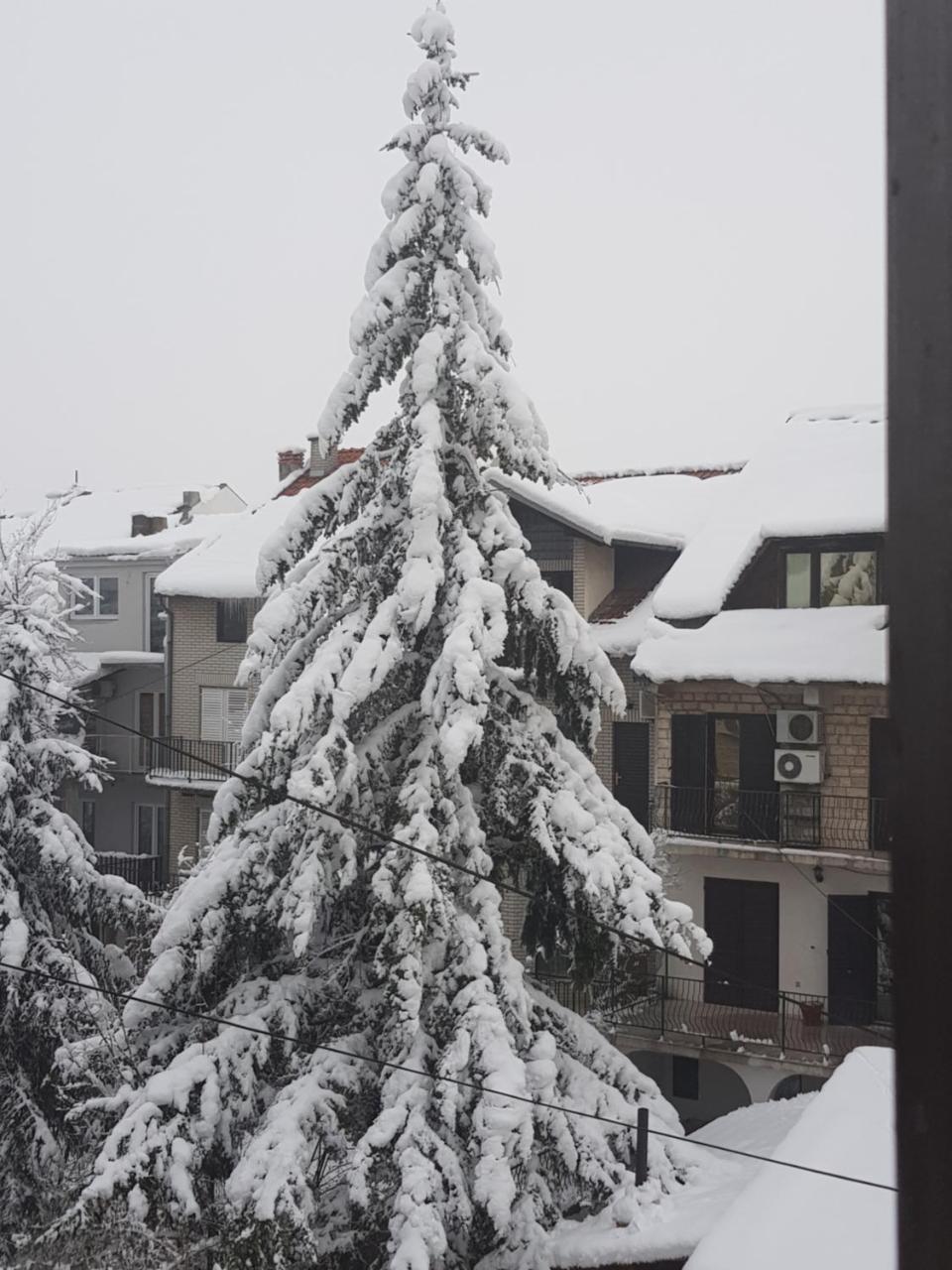 Apartment A&D Pančevo Eksteriør billede